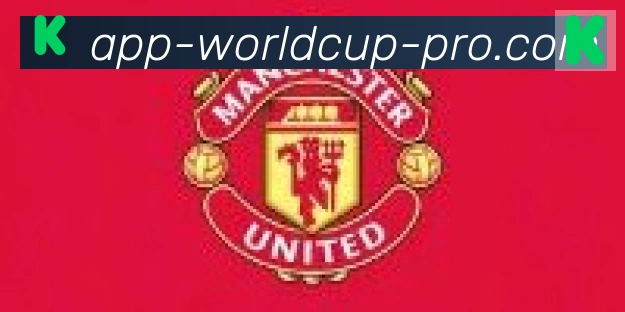 2026世界杯客户端下载合作伙伴